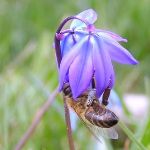 Digitální fotografie