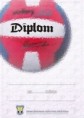 /album/grafika/diplom-volejbal1-jpg/