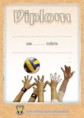 /album/grafika/diplom-volejbal2-jpg/