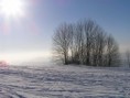 /album/digifoto/p1142013-jpg/