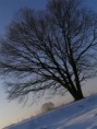 /album/digifoto/p2066643-jpg/
