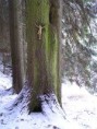 /album/digitalni-fotografie-zatisi/p1236291-jpg/